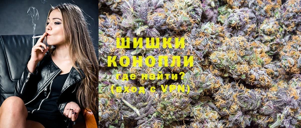 трава Снежногорск