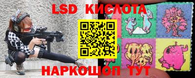 гидропоника Краснодар
