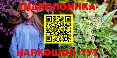 шишки Балашиха