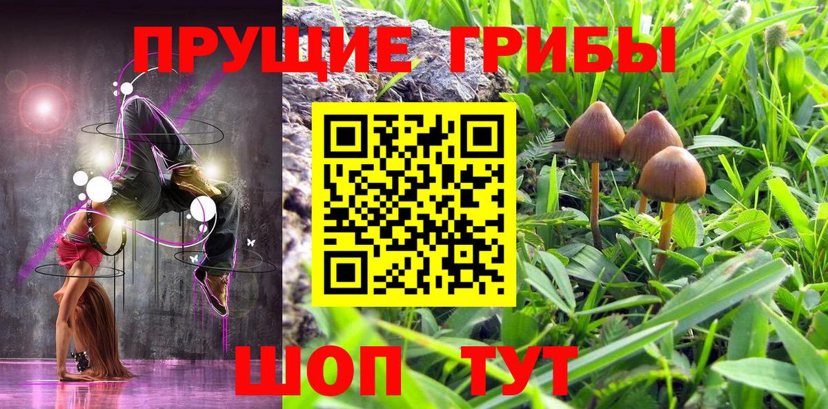 Псилоцибиновые грибы мухоморы  Вход с VPN  Солнечногорск  Псилоцибиновые грибы MAGIC MUSHROOMS 
