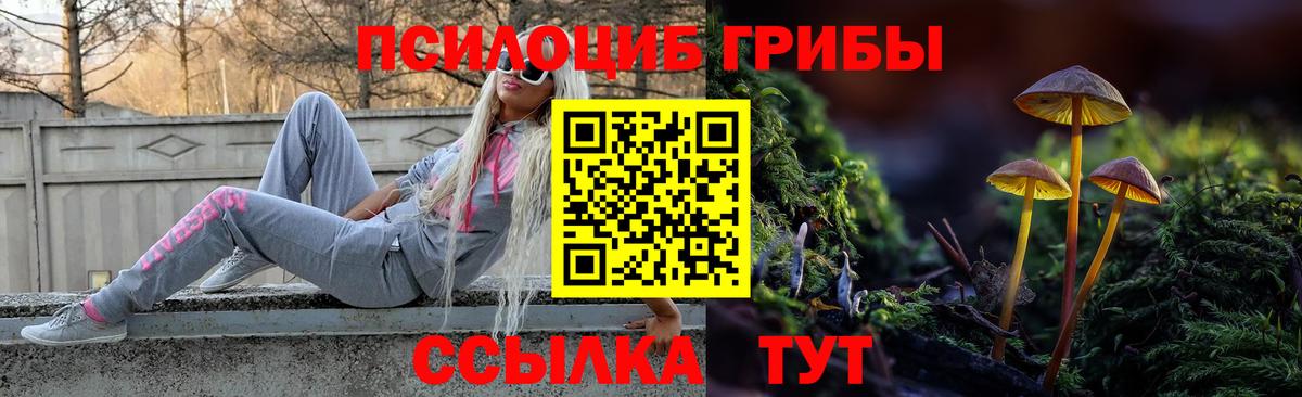 Галлюциногенные грибы Cubensis Солнечногорск